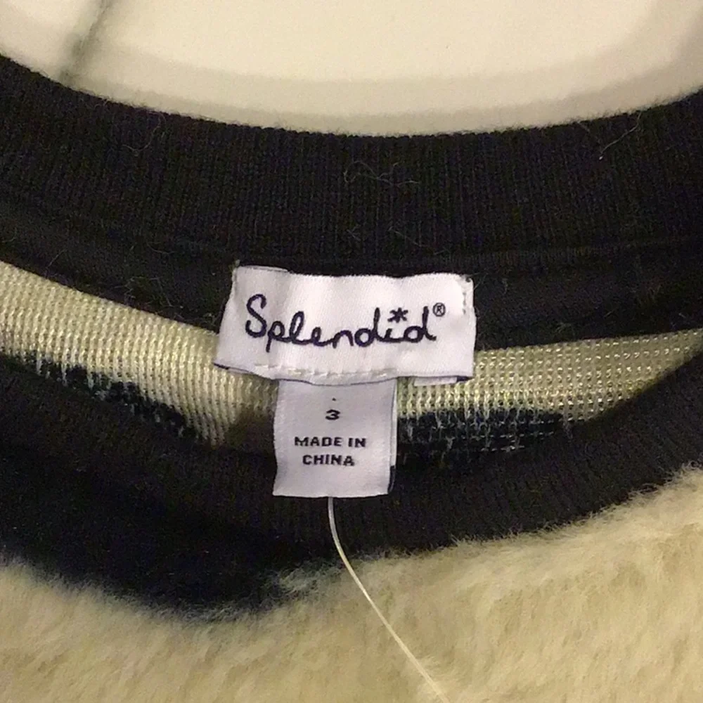 Splendid - Picture 3 of 4